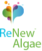 renew-algae-small-logo