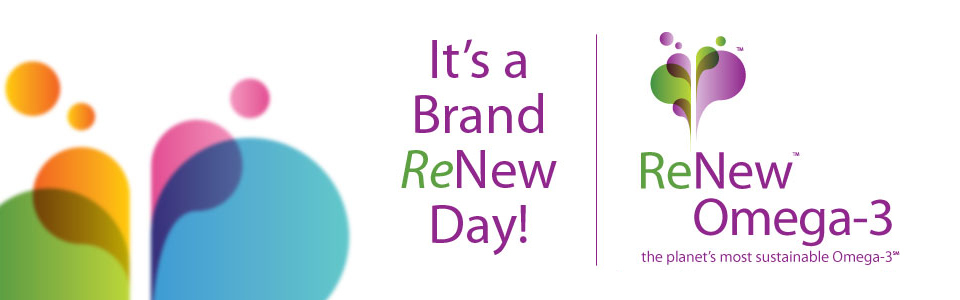 new-slide-brand-renew